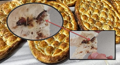Şanlıurfa’da Gıda Skandalı, Fırından Ekmek İçinden Hamam Böceği Çıktı!