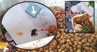 Şanlıurfa’da Gıda Skandalı, Nohutun İçinden Hamam Böceği Çıktı!