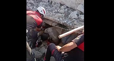 Şanlıurfa'da Göçük Faciası! 4 Kişi Kurtarıldı