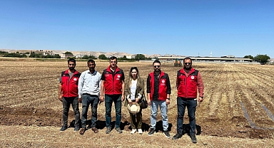 Şanlıurfa’da Pamuk Tarlasına Hümik Asit Desteği!