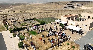 Şanlıurfa’da Uluslararası Buğday Hasadı Festivali Başladı