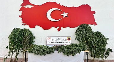 Şanlıurfa’da Zehir Tacirlerine Ağır Darbe! 3 İlçede Eş Zamanlı Operasyon