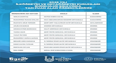 Şanlıurfa'dan Türkiye'ye Eğitim Başarısı! 12 Öğrenci Burslulukta Tam Puan Aldı