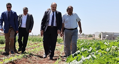 Şanlıurfa Büyükşehir Belediyesi, Ata Tohumlarını Toprakla Buluşturuyor