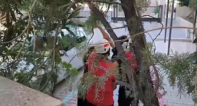 Şanlıurfa'da Küçük Çocuğun Kolu Demir Korkuluklara Sıkıştı!