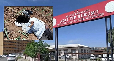Şanlıurfa'da Mısır Tarlasında Erkek Cesedi Bulundu!