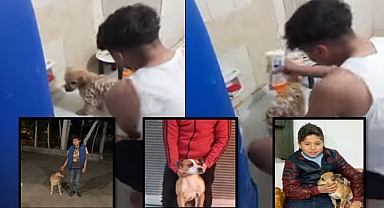 Şanlıurfa'da Sokak Köpeğine Merhamet Eden Çocuğa Rekor Ceza!