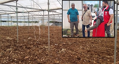 Şanlıurfa Tarımında Model Değişiyor, Serada Üzüm Yetiştiriciliği Başladı!