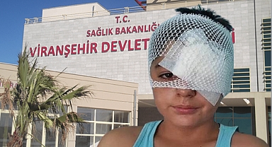 Şanlıurfa Viranşehir’de Köpek Dehşeti, Küçük Çocuk Otomobilin Altında Kaldı!