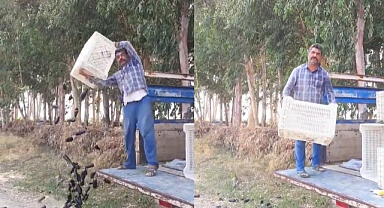 Sosyal Medyada Patlıcan İsyanı! Yere Dökülen Sebzeler Sahibini Pahalıya Mal Oldu