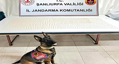 Şanlıurfa’da Binlerce Uyuşturucu Hapla Ele Geçirildi!