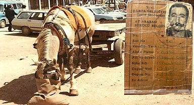  Şanlıurfa’da Bir Zamanlar At Arabası Sürücü Belgesi Vardı!