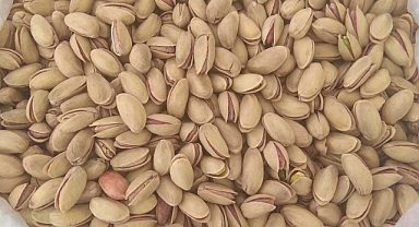 Şanlıurfa’da Fıstık Fiyatları Güncellendi! Boz Fıstıkta Artış Dikkat Çekti