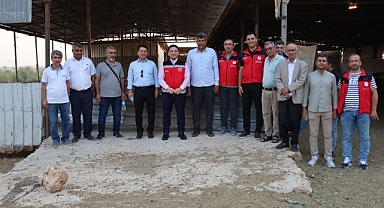 Şanlıurfa'da Hayvancılık Yatırımları Artıyor! Kaymakam Şahin'den Saha Ziyareti