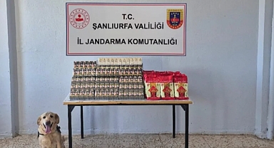 Şanlıurfa’da Kaçakçılığa Geçit Yok! Jandarmadan Tütün ve Alkol Karşı Operasyon Düzenlendi