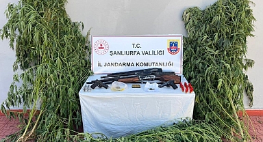 Şanlıurfa'da Uyuşturucu ve Silah Operasyonu, 6 Şüpheliye Adli İşlem!