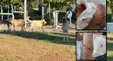 Şanlıurfalı Sporcu Ölümden Döndü! Acil Kalıcı Çözüm Şart