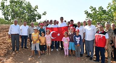 Türkiye’nin Fıstık Başkenti Şanlıurfa’da Hasat Coşkusu!