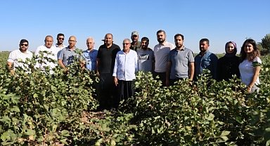 Büyükşehir’den Pamuk Hamlesi Çiftçiye Hem Bilgi Hem Destek!