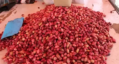 Fıstık Severlere Dikkat! Şanlıurfa’da Kilogram Fiyatları Zirve Yaptı