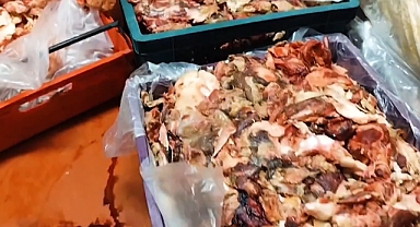 Sahte ve Bozuk Gıdaya Geçit Yok 11 Ton Ürün İncelemeye Alındı!