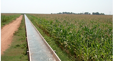 Şanlıurfa’da Kayıp Olarak Aranan Bebek Sulama Kanalında Ölü Bulundu
