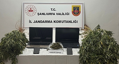 Şanlıurfa’da Uyuşturucu ve Dolandırıcılık Operasyonu! 1 Gözaltı