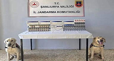 Viranşehir’de Kaçak Sigara Baskını! 1.030 Paket Ele Geçirildi