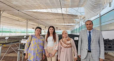 Şanlıurfa Büyükşehir Belediyesi, Ekolojik Sürdürülebilirlik İçin Çalışmalarını Sürdürüyor