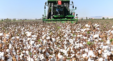Valilikten Pamuk Seferberliği! Kalite İçin Saha Denetimleri Başladı