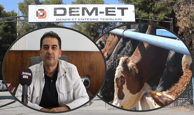 Şanlıurfa'da Kaçak Kesim Skandalı! Yetkililer Göz Yumuyor mu?