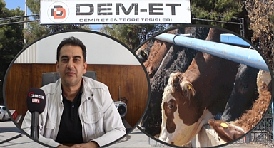 Şanlıurfa'da Kaçak Kesim Skandalı! Yetkililer Göz Yumuyor mu?