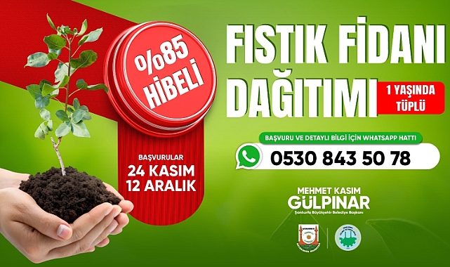 Şanlıurfa’da Yerli Üretime Destek! 1 Yaşındaki Tüplü Fıstık Fidanları Dağıtılıyor