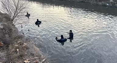 Harran’da Sulama Kanalına Düşen Babayı Arama Çalışmaları Sürüyor