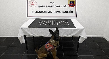 Şanlıurfa Jandarması Operasyon Düzenledi Uyuşturucu Ticareti Bozuldu!