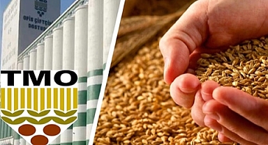 Yem Sektörüne Büyük Destek! TMO, 1,7 Milyon Ton Hammaddeli Satışa Çıkıyor