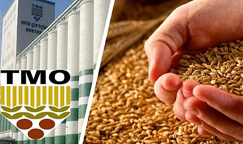 Yem Sektörüne Büyük Destek! TMO, 1,7 Milyon Ton Hammaddeli Satışa Çıkıyor