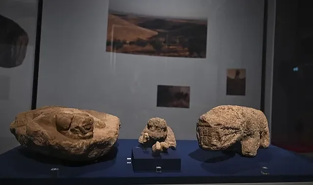 Almanya’da Göbeklitepe Rüzgarı! 12 Bin Yıllık Miras Berlin’de Sergileniyor