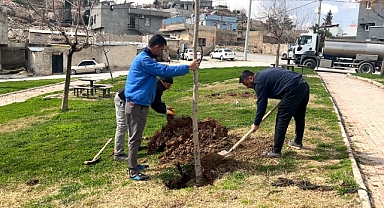 Eyyübiye Bahara Hazırlanıyor Parklar ve Yeşil Alanlar Yenileniyor!