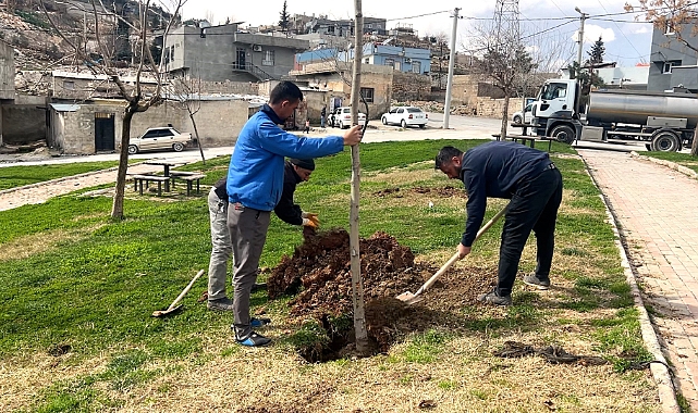 Eyyübiye Bahara Hazırlanıyor Parklar ve Yeşil Alanlar Yenileniyor!