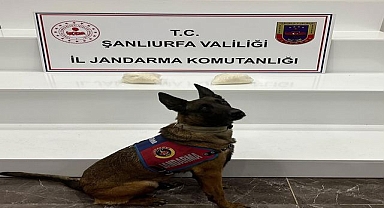 Şanlıurfa’da Büyük Uyuşturucu Baskını 2 Kilo Sentetik Madde Yakalandı