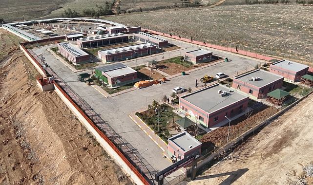 Şanlıurfa’da Sokaklar Artık Güvende 27.960 Sahipsiz Hayvan Toplandı!