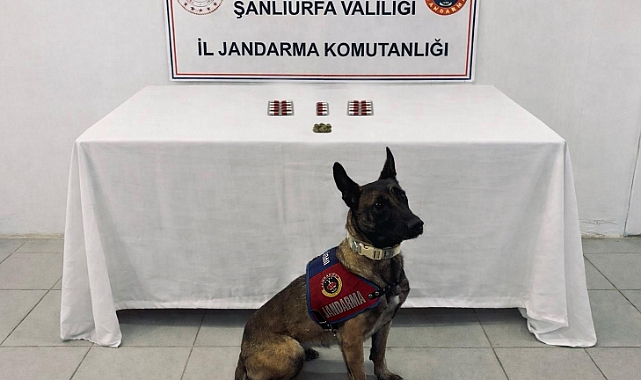 Şanlıurfa’da Uyuşturucuya Karşı Büyük Operasyon Silah ve Maddeler Ele Geçirildi!