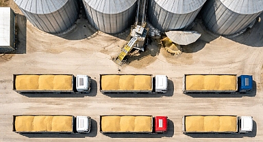 Toprak Mahsulleri Ofisi, 1,2 Milyon Ton Buğdayı Serbest Satışa Sunuyor