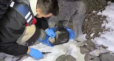 Jandarmadan Zehir Tacirlerine Büyük Darbe Kilolarca Uyuşturucu Ele Geçirildi!