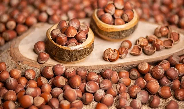 Karadeniz Fındığı 6 Ayda 1,17 Milyar Dolara İhraç Edildi