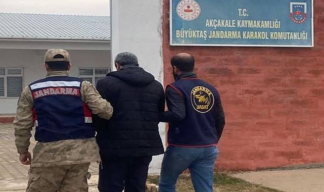 Şanlıurfa Akçakale'de 5 Yıl Hapis Cezalı Şahıs Yakalandı