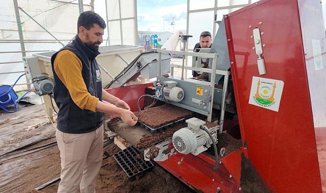 Şanlıurfa Büyükşehir’den Tarıma Büyük Hamle! Binlerce Fide Dağıtacak