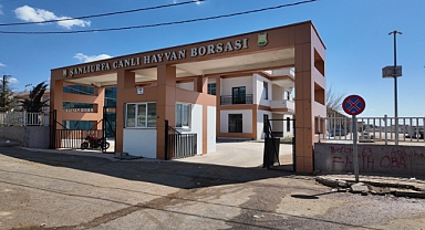 Şanlıurfa Canlı Hayvan Borsası’na Modern Elektronik Baskül Kuruldu