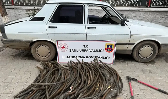 Şanlıurfa’da Dev Vurgun! 69 Kuyunun Kablolarını Çalarken Yakalandı